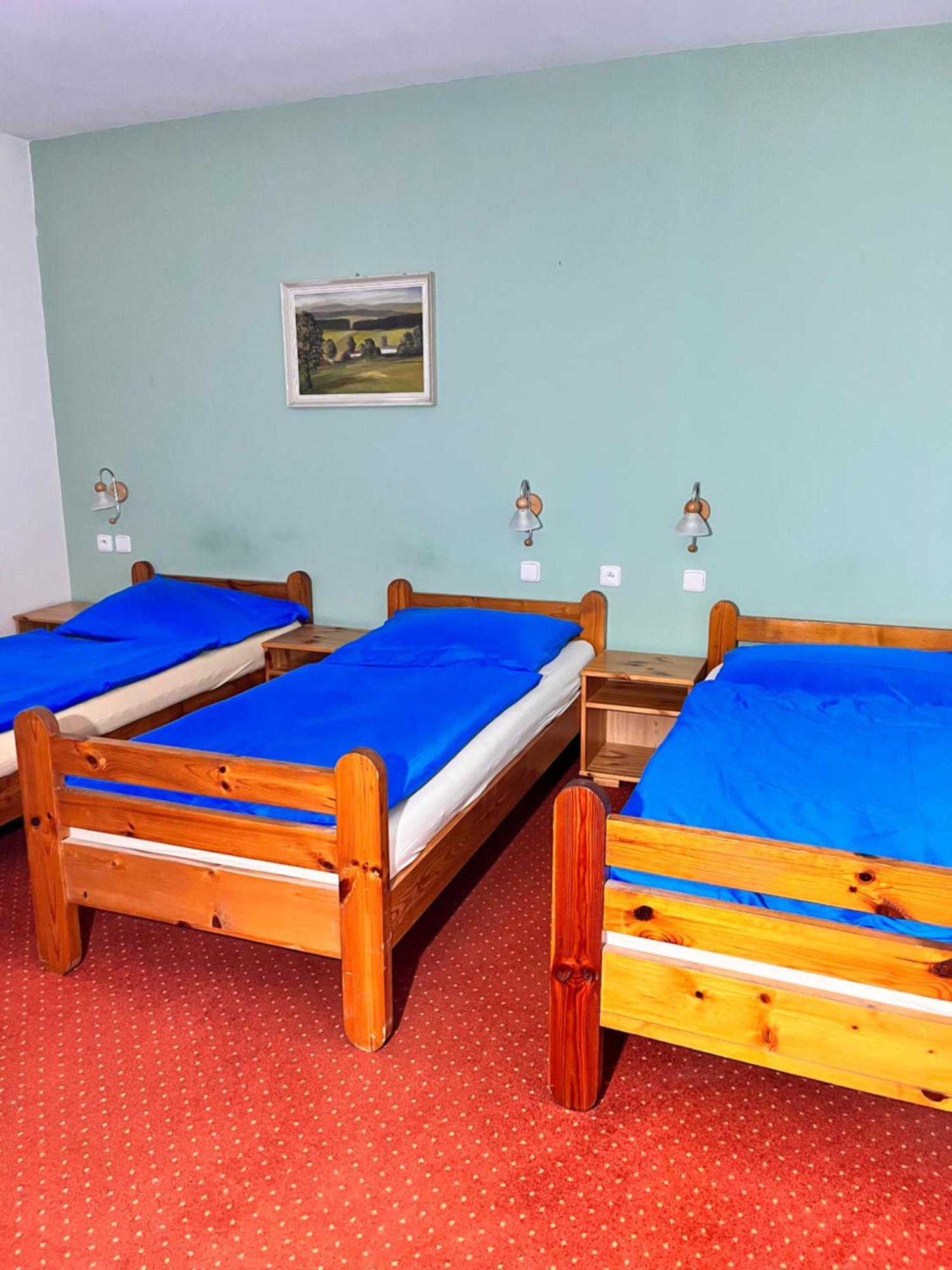 Vila Morava Hotel Liptovský Mikuláš Eksteriør billede