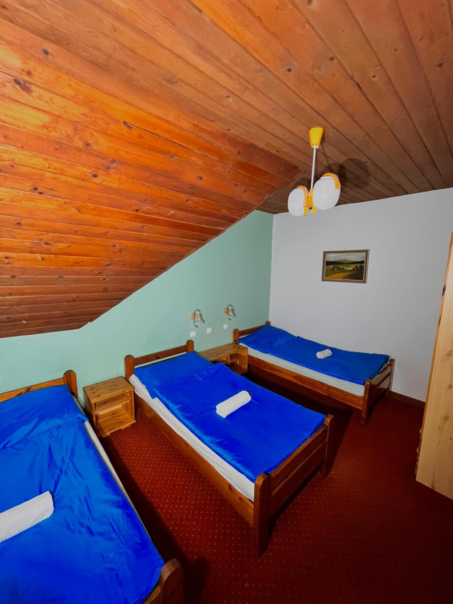 Vila Morava Hotel Liptovský Mikuláš Eksteriør billede